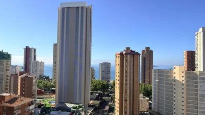 Apartment in Playa de Levante photo 7