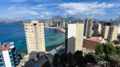 Apartment in Rincon de Loix Cruz photo 17