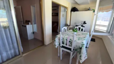 Apartment in Rincon de Loix Cruz photo 5