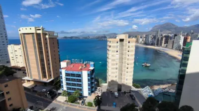 Apartment in Rincon de Loix Cruz photo 6