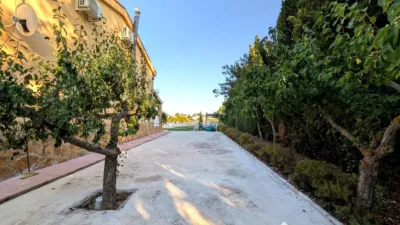 Rustic finca on Calle Diseminado Huertos San Roque photo 17