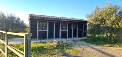House on Camino Quinto Street photo 86