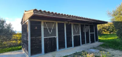 House on Camino Quinto Street photo 85