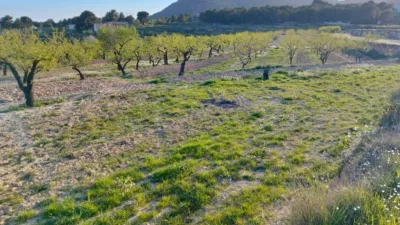 Terreno en venta en Comunidad Valenciana - Vista 3
