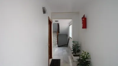 Pis – Torrevieja - Vista 5