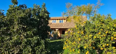House on Camino Quinto Street photo 37