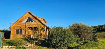 House on Camino Quinto Street photo 92