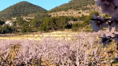 Terreno en venta en Comunidad Valenciana - Vista 5