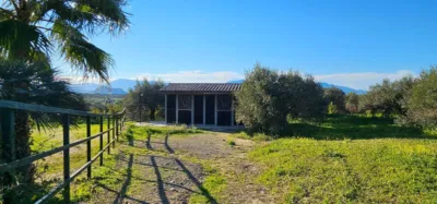 House on Camino Quinto Street photo 35