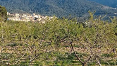 Terreno en venta en Comunidad Valenciana - Vista 4