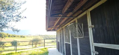 House on Camino Quinto Street photo 87