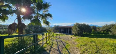 House on Camino Quinto Street photo 33