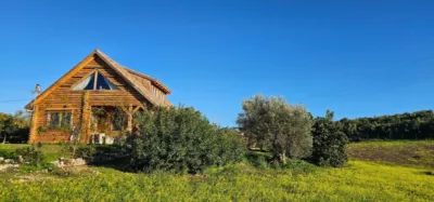 House on Camino Quinto Street photo 34