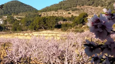 Terreno en venta en Comunidad Valenciana - Vista 2
