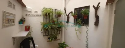 Apartment in El Grau photo 6