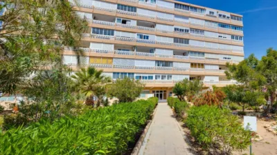 Piso – Torrevieja, La Mata - Vista 2