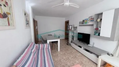 Apartment in Nou Moles photo 3