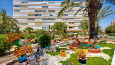 Piso – Torrevieja, La Mata - Vista 3