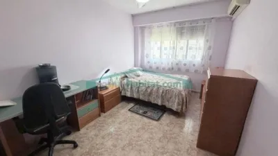 Apartment in Nou Moles photo 15