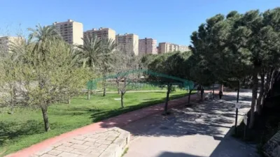 Apartment in Nou Moles photo 31