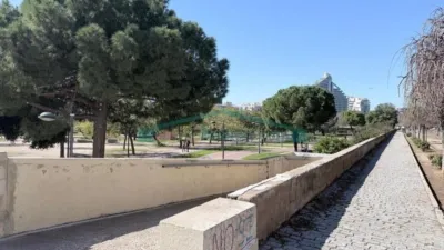 Apartment in Nou Moles photo 34