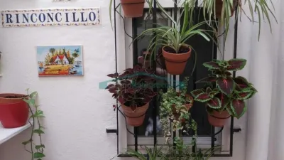 Apartment in El Grau photo 17
