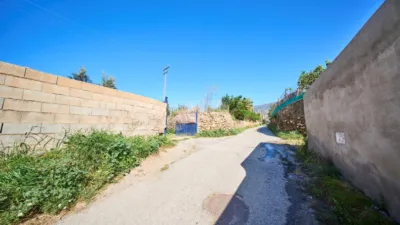 Rustic finca on La Vegueta Street photo 51