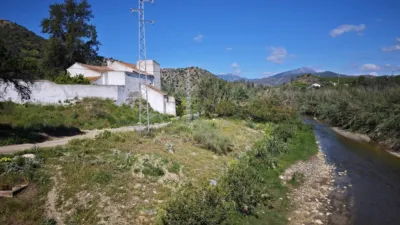 Finca rústica en calle Pista Confederacion photo 45