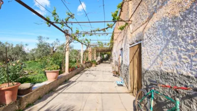 Rustic finca on La Vegueta Street photo 9