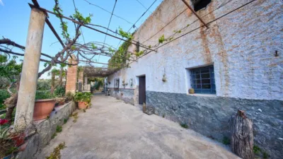 Rustic finca on La Vegueta Street photo 12
