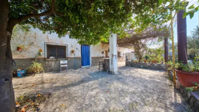 Rustic finca on La Vegueta Street photo 5