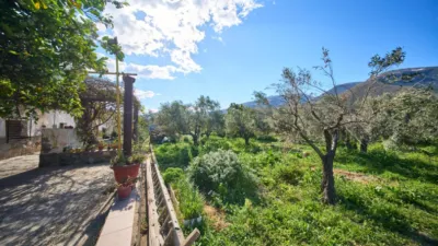 Rustic finca on La Vegueta Street photo 4