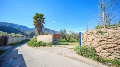 Rustic finca on La Vegueta Street photo 2