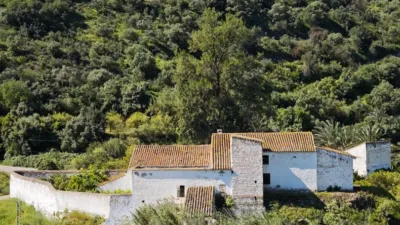 Rustic finca on Pista Confederacion Street photo 4