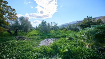 Rustic finca on La Vegueta Street photo 43