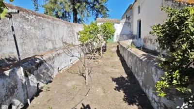 Finca rústica en calle Pista Confederacion photo 25