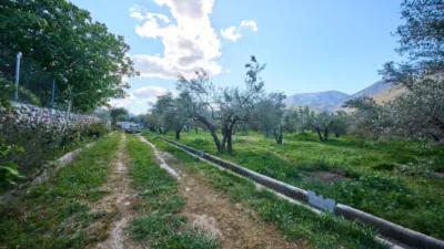 Rustic finca on La Vegueta Street photo 46