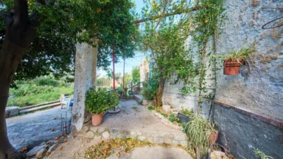Rustic finca on La Vegueta Street photo 36