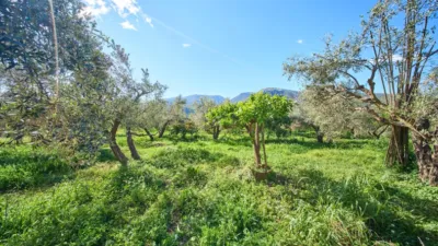 Rustic finca on La Vegueta Street photo 39