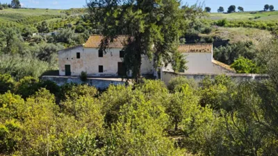 Rustic finca on Pista Confederacion Street photo 2