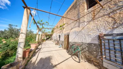 Rustic finca on La Vegueta Street photo 11