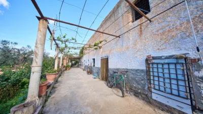 Rustic finca on La Vegueta Street photo 10