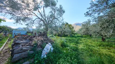 Rustic finca on La Vegueta Street photo 45