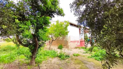 House in Las Bayas-Asprillas photo 6