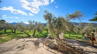 Rustic finca on La Vegueta Street photo 6