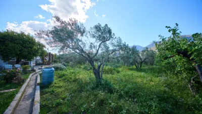 Rustic finca on La Vegueta Street photo 37