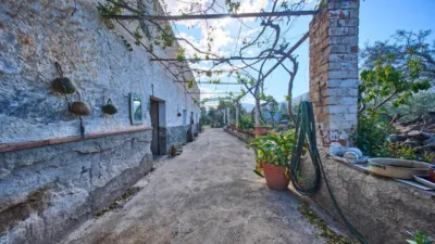 Rustic finca on La Vegueta Street photo 3