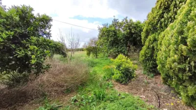 House in Las Bayas-Asprillas photo 5