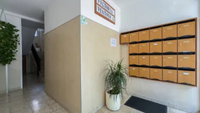 Apartment on Calle Forjador photo 36