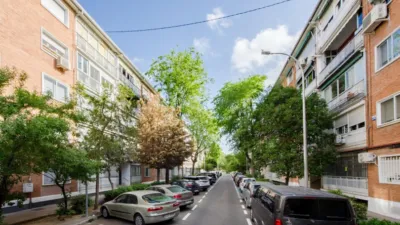 Apartment in Ambroz photo 33